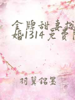 金牌甜妻总裁宠婚1314免费阅读