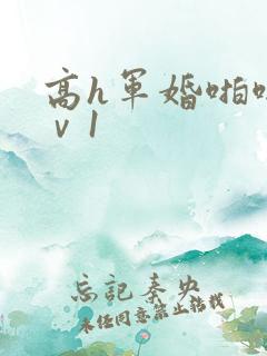 高h军婚啪啪1ⅴ1