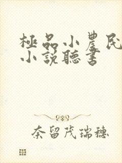 极品小农民陈西小说听书