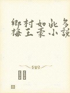 乡村如此多娇叶梅王豪小说全集免费
