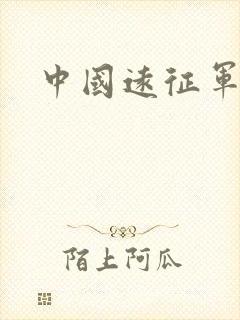 中国远征军小说