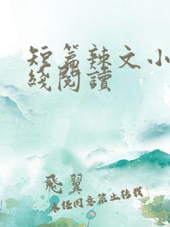 短篇辣文小说在线阅读