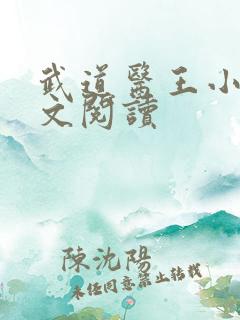 武道医王小说全文阅读
