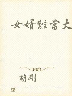 女婿难当大结局