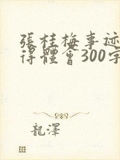 张桂梅事迹的心得体会300字