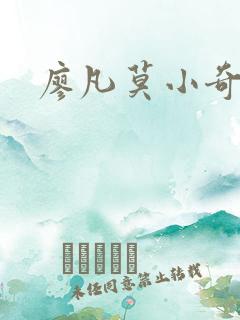 廖凡莫小奇
