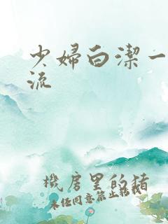 少妇白洁一路风流