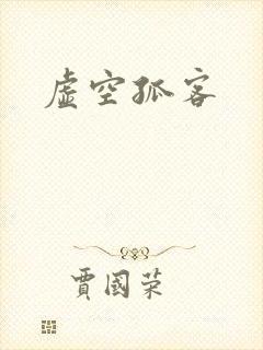 虚空孤客