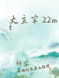大主宰 22mt