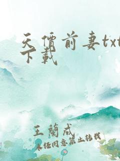天价前妻txt下载