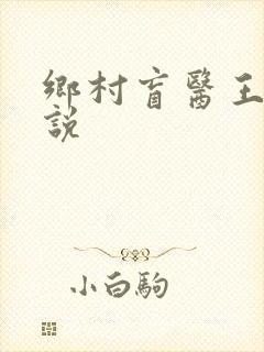 乡村盲医王凡小说