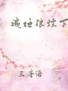 遍地狼烟下载