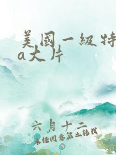 美国一级特黄aa大片