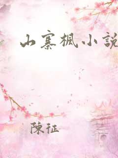 山寨枫小说网