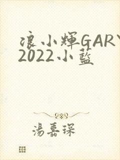 浪小辉GARY2022小蓝