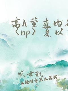 高h荤爽肉欲文〈np〉夏以昼