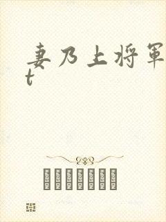 妻乃上将军txt