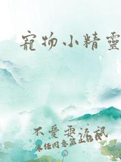 宠物小精灵之梦