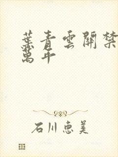 叶青云关禁闭一万年
