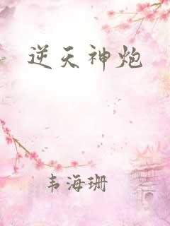 逆天神炮