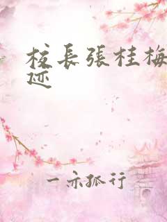 校长张桂梅的事迹