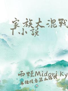 家族大混战TXT小说