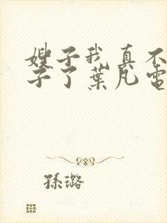 嫂子我真不是傻子了叶凡电子书全集