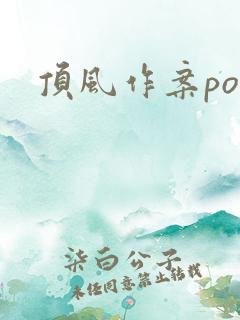 顶风作案po
