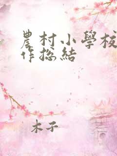 农村小学校长工作总结