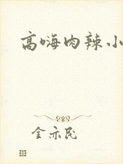 高嗨肉辣小说