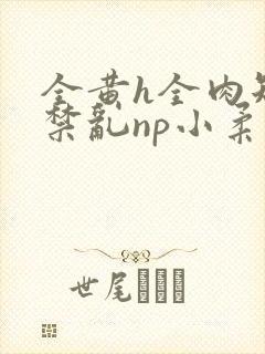 全黄h全肉短篇禁乱np小柔