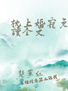 枕上婚宠免费阅读全文