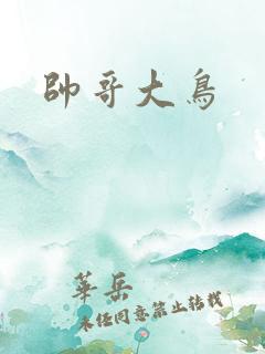 帅哥大鸟