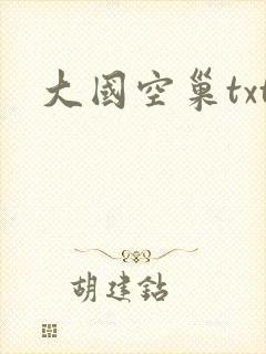大国空巢txt