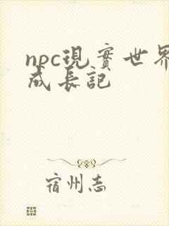 npc现实世界成长记
