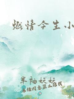 燃情今生小说