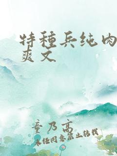 特种兵纯肉高h爽文