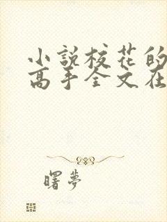 小说校花的贴身高手全文在线阅读