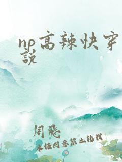np高辣快穿小说