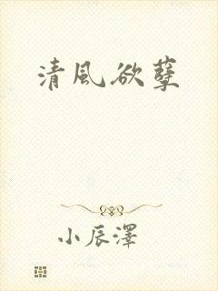 清风欲孽
