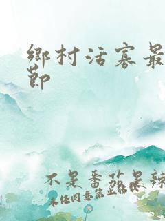 乡村活寡最新章节