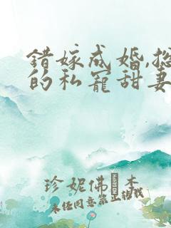 错嫁成婚,总裁的私宠甜妻