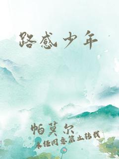 路感少年