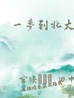 一梦到北大