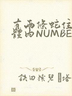 有两条蛇住在我体内NUMBER7