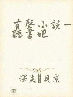有声小说—有声听书吧
