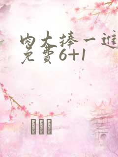 肉大捧一进一出免费6+1