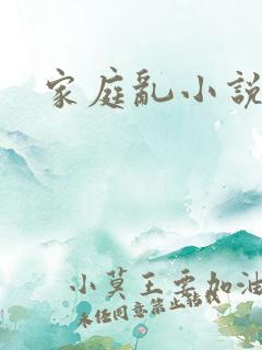 家庭乱小说