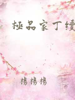 极品家丁续集