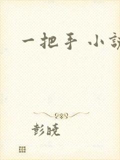 一把手 小说
